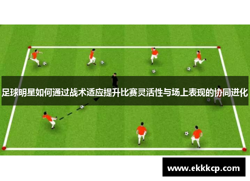足球明星如何通过战术适应提升比赛灵活性与场上表现的协同进化