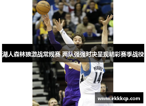 湖人森林狼激战常规赛 两队强强对决呈现精彩赛季战役