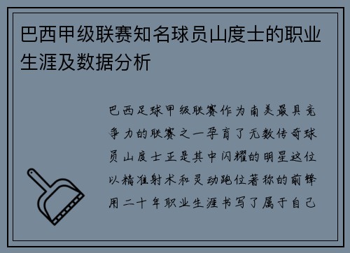 巴西甲级联赛知名球员山度士的职业生涯及数据分析